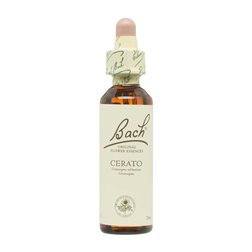 Flor nº 5 Ceratostigma (cerato) 20ml Bach