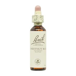 Blüte Nr. 7 Kastanienknospe (Kastanienknospe) 20 ml Bach