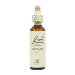Flor nº 9 Clematide (clematis) 20ml Bach