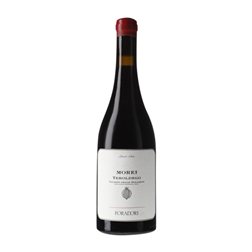 Foradori Morei Vigneti delle Dolomiti Ánfora 75 cl Vino Tinto