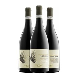 Fortant de France Terroir d'Altitude Pinot Negro Vin de Pays d'Oc 75 cl Vino Tinto (Caja de 3 unidades)