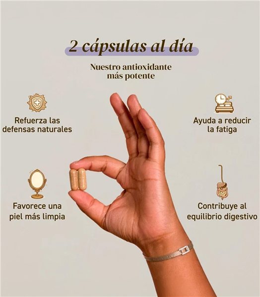 Capsules de Chaga-lateral