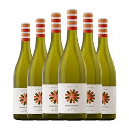 Frentana Costa del Mulino Pecorino Abruzzo 75 cl Vino Blanco (Caja de 6 unidades)