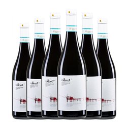 Frentana Vallevo Montepulciano d'Abruzzo 75 cl Vino Tinto (Caja de 6 unidades)