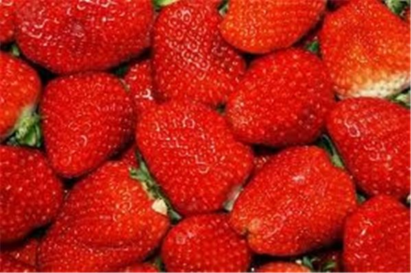 FRESON  2  KILOS-detalle