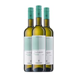 Freyburg Unstrut Pinot Gris Trocken — Seco 75 cl Vino Blanco (Caja de 3 unidades)