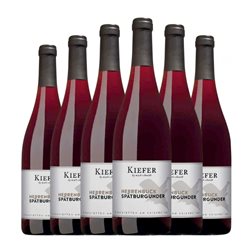 Friedrich Kiefer Herrenbuck Pinot Negro Trocken — Seco Baden 75 cl Vino Tinto (Caja de 6 unidades)