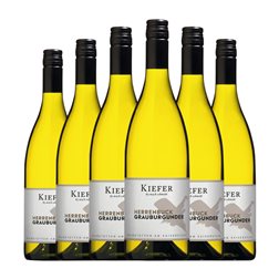 Friedrich Kiefer Pinot Gris Trocken — Seco Baden Kabinett — Cosecha Madura 75 cl Vino Blanco (Caja de 6 unidades)