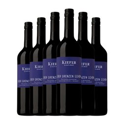Friedrich Kiefer Über Grenzen Gehen Trocken — Seco Baden Cuvée 75 cl Vino Tinto (Caja de 6 unidades)