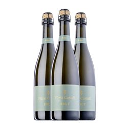Fürstlich Castell'sche Domäne Flaschengärung Brut Tradicional, Blanc de Blancs Fermentado en Barrica 75 cl Vino Blanco (Caja de 3 unidades)