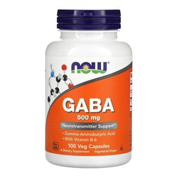 GABA avec Vitamine B6 500 Mg 100 Caps