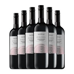 Galasso Feronia Montepulciano d'Abruzzo 75 cl Vino Tinto (Caja de 6 unidades)