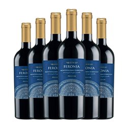 Galasso Feronia Montepulciano Montepulciano d'Abruzzo Premium 75 cl Vino Tinto (Caja de 6 unidades)