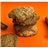 0% Whole Grain Cookie with Orange and Cinnamon, No Added Sugars-trasera