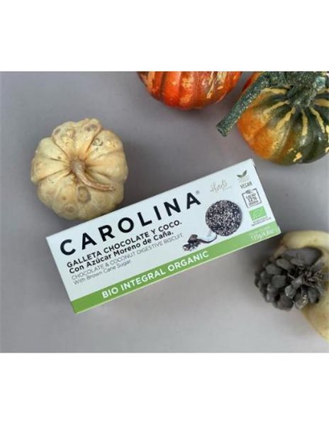 Wholegrain Bio Digestive Biscuit with Chocolate & Coconut. Vegan.-lateral