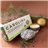 Wholegrain Bio Digestive Biscuit with Chocolate & Coconut. Vegan.-trasera
