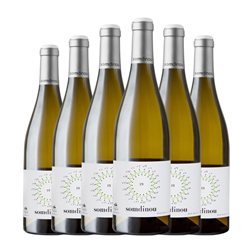 Gandesa Somdinou Seco Terra Alta Bio — Biológico 75 cl Vino Blanco (Caja de 6 unidades)
