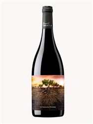 Grenache oubliée d'Aragon