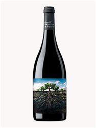 Grenache sauvage du Moncayo