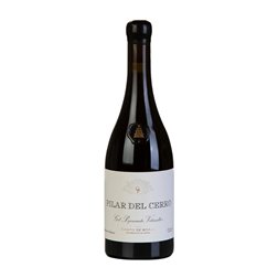 Gil Pejenaute Pilar del Cerro Garnacha Campo de Borja 75 cl Vino Tinto