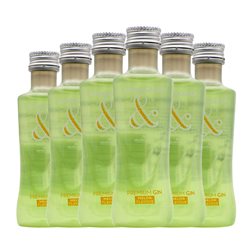 Ginebra Gin Ampersand Botellín Miniatura 5 cl Melón (Caja de 6 unidades)