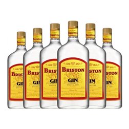Ginebra Gin Briston 1 L (Caja de 6 unidades)