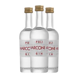 Ginebra Gin Poli Marconi 46 Botellín Miniatura 5 cl (Caja de 3 unidades)