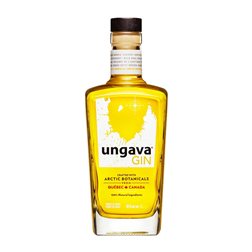 Ginebra Gin Ungava Premium 1 L Botanicals — Botánicos