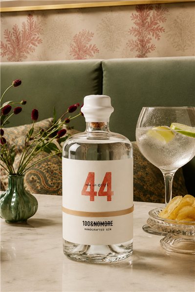 Premium Artisan Gin 100&NoMore-izquierda