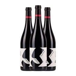 Glatzer Göttlesbrunn Blaufränkisch 75 cl Vino Tinto (Caja de 3 unidades)