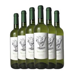 Gleva Estates Terra de Pau Terra Alta Joven 75 cl Vino Blanco (Caja de 6 unidades)