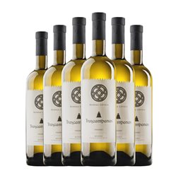 Gótica Trascampanas Verdejo Rueda 75 cl Vino Blanco (Caja de 6 unidades)