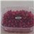 PEELED POMEGRANATES-trasera