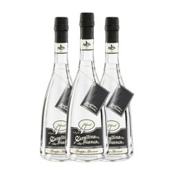 Grappa Zanin 1895 Cavallina Bianca — Blanca 70 cl (Caja de 3 unidades)