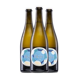 Gross Flein Fizz Prickelnder Traubensaft 75 cl Sin Alcohol Espumoso Blanco (Caja de 3 unidades)