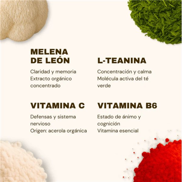 Gummies melena de león French Mush-trasera