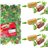 Gummy Jelly 1Kg Surtido-detalle
