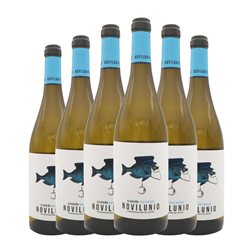 H. Paniagua Novilunio Albariño Rías Baixas 75 cl Vino Blanco (Caja de 6 unidades)