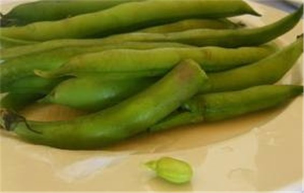 La traducción de "HABAS" al francés es "Fèves".-lateral