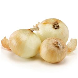 Oignon semi-sec bio – 500 g