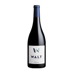 Hall Blue Jay Pinot Negro 75 cl Vino Tinto