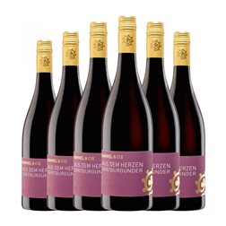 Hammel Aus dem Herzen Pinot Negro Trocken — Seco Pfälz 75 cl Vino Tinto (Caja de 6 unidades)