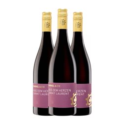 Hammel Aus dem Herzen Saint Laurent Trocken — Seco Pfälz 75 cl Vino Tinto (Caja de 3 unidades)