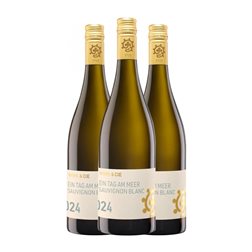 Hammel Ein Tag am Meer Sauvignon Trocken — Seco Pfälz 75 cl Vino Blanco (Caja de 3 unidades)