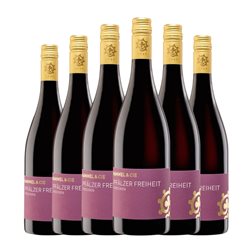 Hammel Freiheit Trocken — Seco Pfälz 75 cl Vino Tinto (Caja de 6 unidades)
