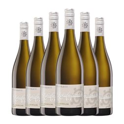 Hammel Lokalmatador Riesling Semiseco Pfälz 75 cl Vino Blanco (Caja de 6 unidades)