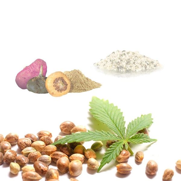 Hemp Macau (Hemp · Maca · Cacao) BIO - 250g-lateral