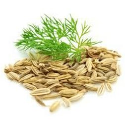 HINOJO BIO 30g  Aliado Natural contra la Hinchazón y Gases Abdominales