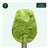 Organic Stevia Leaf Powder - 100g-lateral