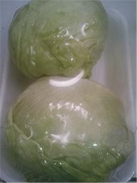 ICEBERG 2 UNIDADES-detalle